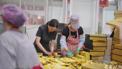 以司法之力，護(hù)茶香悠悠——宣恩縣法院加強(qiáng)知識(shí)產(chǎn)權(quán)法治保障有力支持全面創(chuàng)新